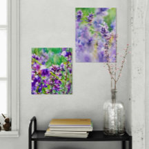 Lavender Dreamscapes: A Duet of Purple Serenity