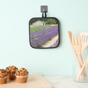 Lavender Farm Blooms Floral Pot Holder