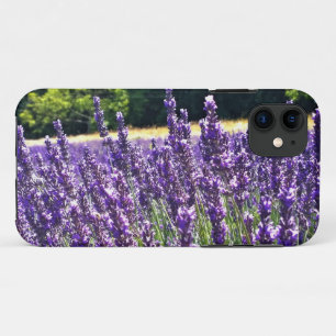 Lavender Farm iPhone 11 Case