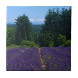 Lavender Farm Ceramic Tile