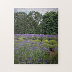 Lavender Farm Jigsaw Puzzle