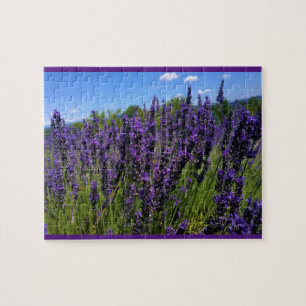 Lavender Farm Jigsaw Puzzle