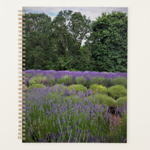 Lavender Farm Planner