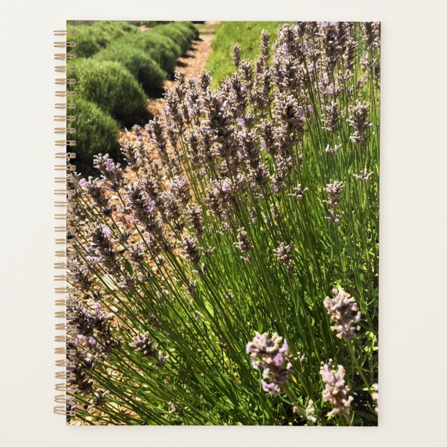 Lavender Farm Planner (Front)