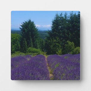 Lavender Farm Plaque