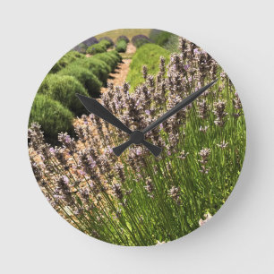 Lavender Farm Round Clock