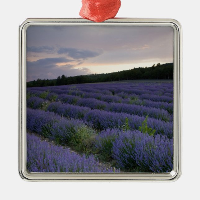 Lavender field at sunset metal ornament (Front)