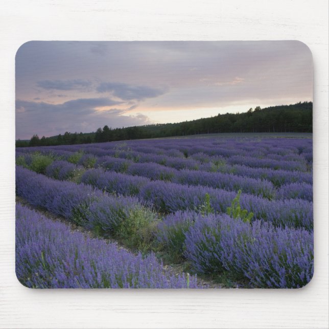 Lavender field at sunset mouse pad (Front)