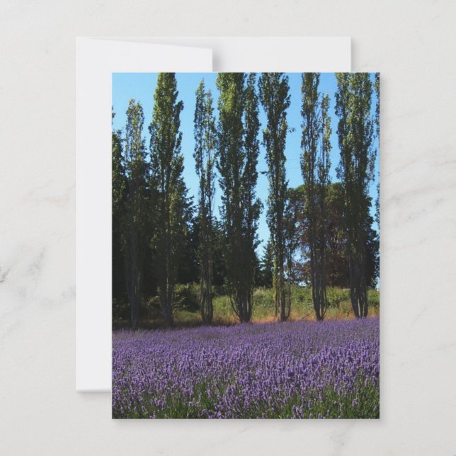 Lavender Field Bible Verse Encouragement Card (Front)