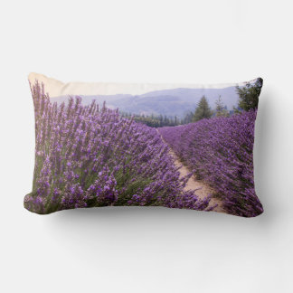 Lavender Field cushion