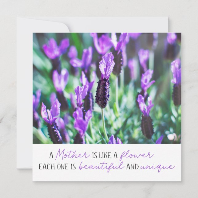 Lavender field floral mothers day purple flowers card (Front)
