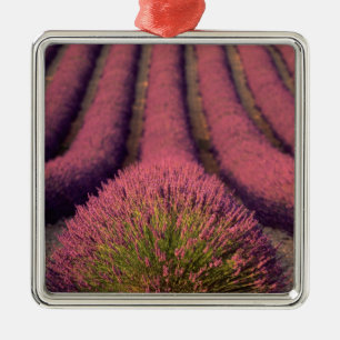 Lavender field in High Provence, France 2 Metal Ornament