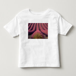 Lavender field in High Provence, France 2 Toddler T-Shirt