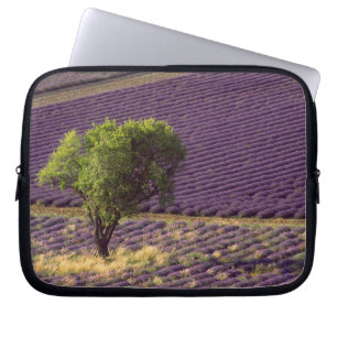 Lavender field in High Provence, France Laptop Sleeve