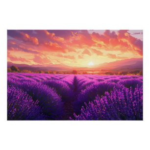 Lavender Field in Provence Poster
