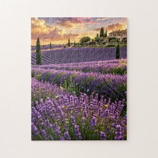 Lavender Field Jigsaw Puzzle