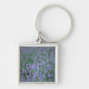 Lavender Field Key Ring
