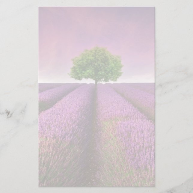 Lavender Field Landscape Summer Sunset Stationery (Front)