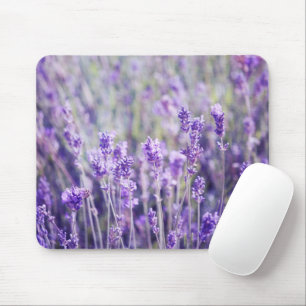 Lavender Field Mouse Pad