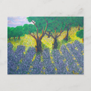 Lavender Field Postcard