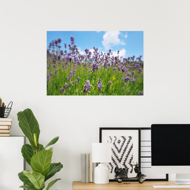 Lavender field poster (Home Office)