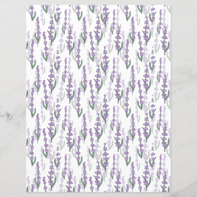 Lavender field provence purple flower (Front)