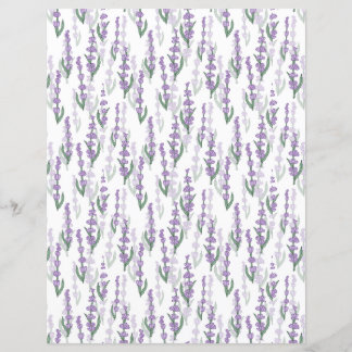 Lavender field provence purple flower