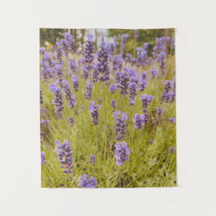 Lavender Field  Tapestry