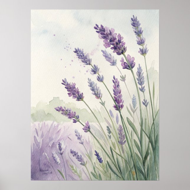 Lavender Field Wall Art | Purple Lavender Flowers. (Front)