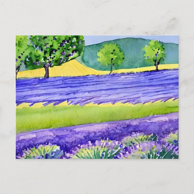Lavender fields France Postcard (Front)