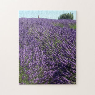 Lavender Fields of Sequim, WA Photo Jigsaw Puzzle