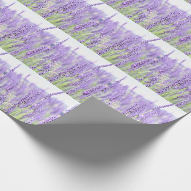 Lavender fields photography, various gifts wrapping paper (Corner)