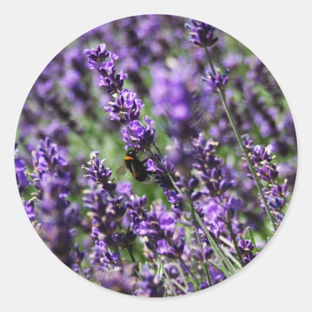 Lavender Fields Stickers (Front)