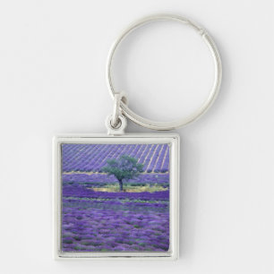 Lavender fields, Vence, Provence, France Key Ring