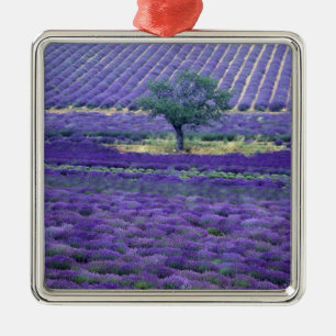 Lavender fields, Vence, Provence, France Metal Tree Decoration