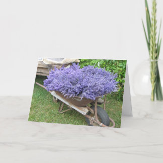 Lavender Filled Wheelbarrow Card
