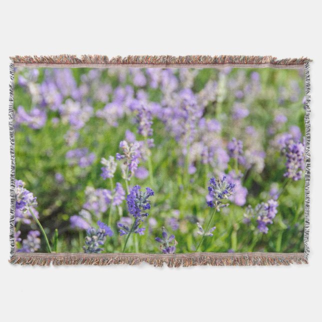 Lavender Flower Blossoms in Herb Garden Throw Blanket (Front)