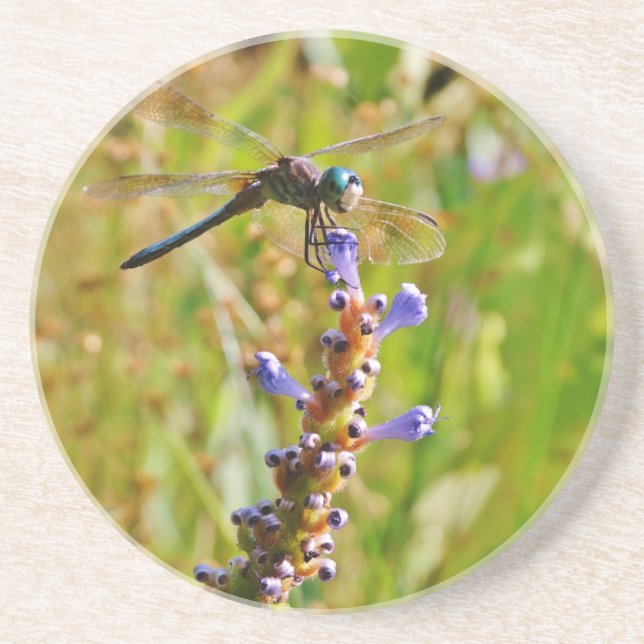 Lavender flower dragonfly coaster (Front)