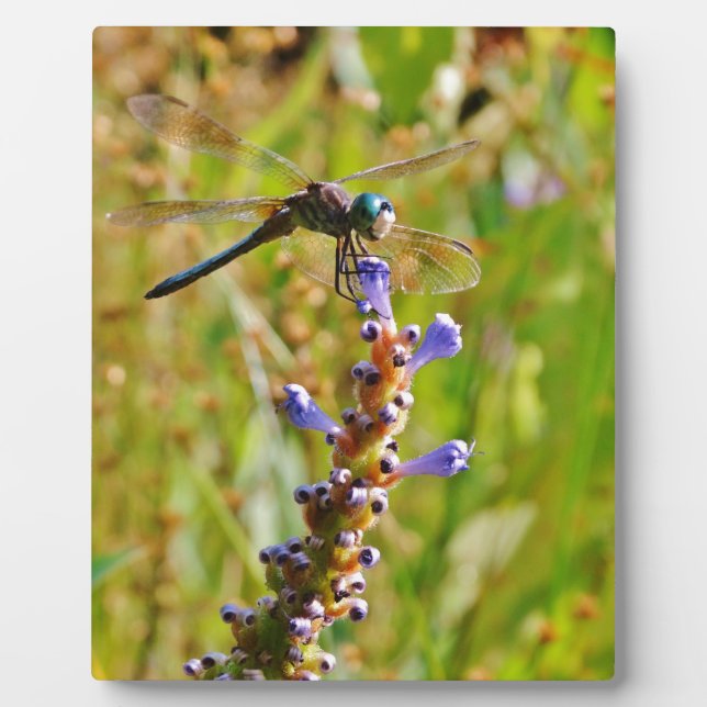 Lavender flower dragonfly plaque (Front)