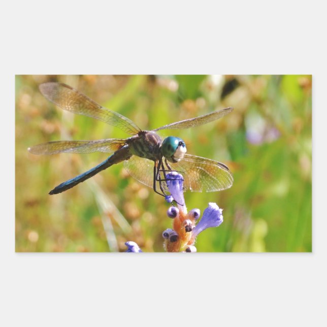 Lavender flower dragonfly rectangular sticker (Front)