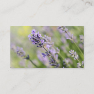 Lavender Flowers. Business Card