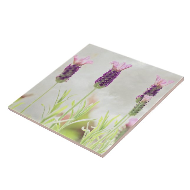 Lavender Flowers Ceramic Tile (Side)