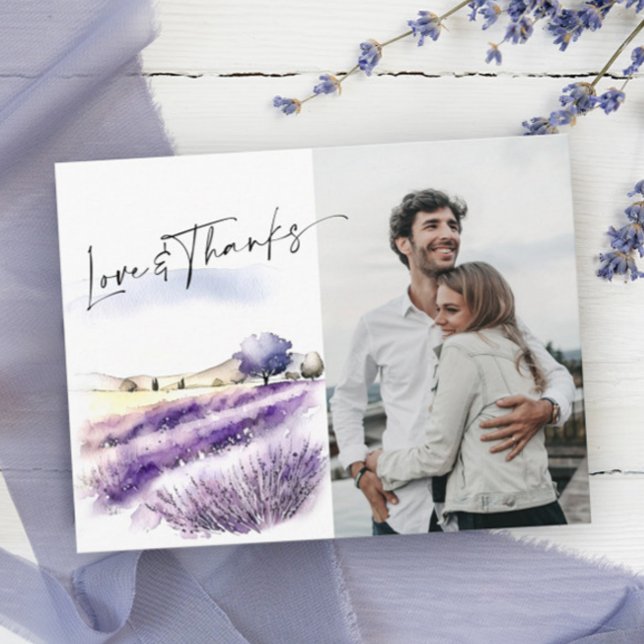 Lavender Flowers Field Thank You Photo Postcard (Creator Uploaded)