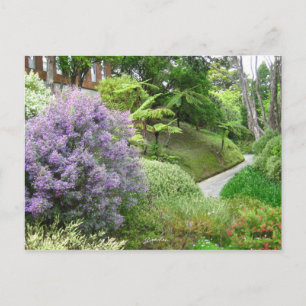 Lavender flowers in New Zealand. Postcard