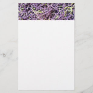 Lavender flowers pattern stationery