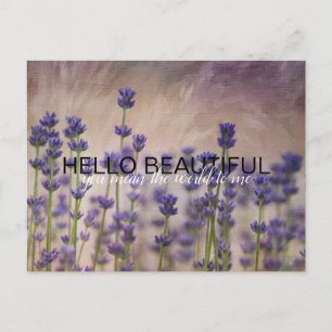Lavender Flowers Personalised Postcard