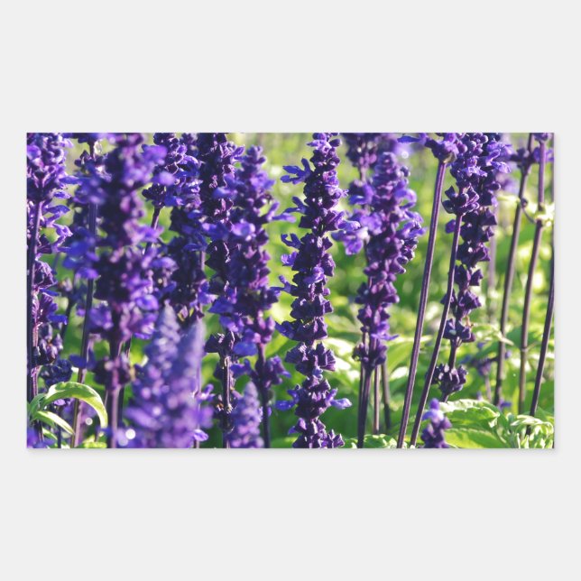 Lavender Flowers Rectangular Sticker (Front)