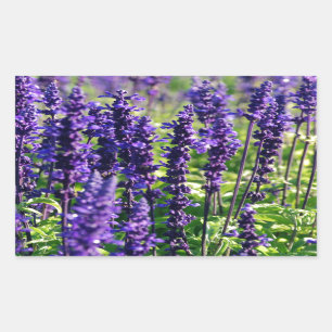 Lavender Flowers Rectangular Sticker
