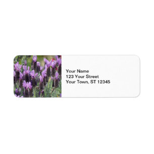 Lavender Flowers Return Address Label