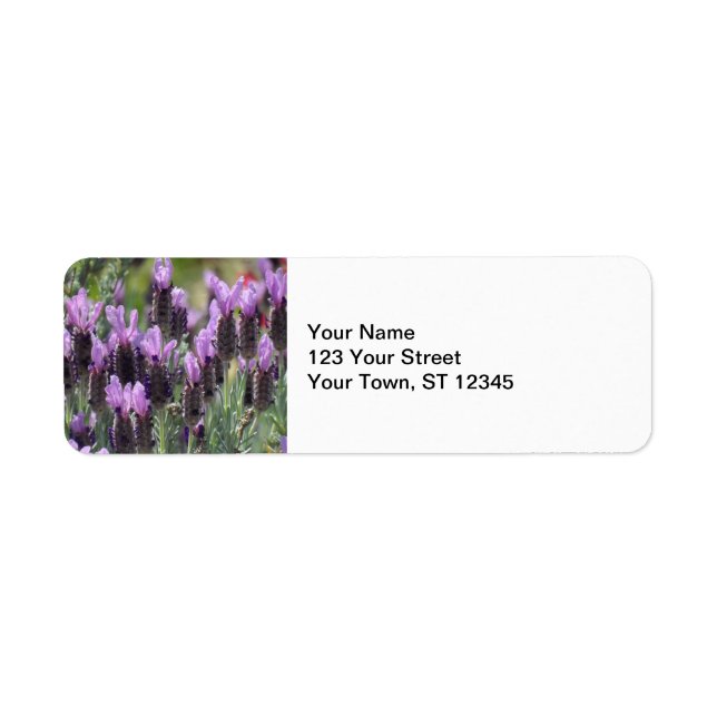 Lavender Flowers Return Address Label (Front)